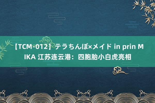 【TCM-012】テラちんぽ×メイド in prin MIKA 江苏连云港：四胞胎小白虎亮相