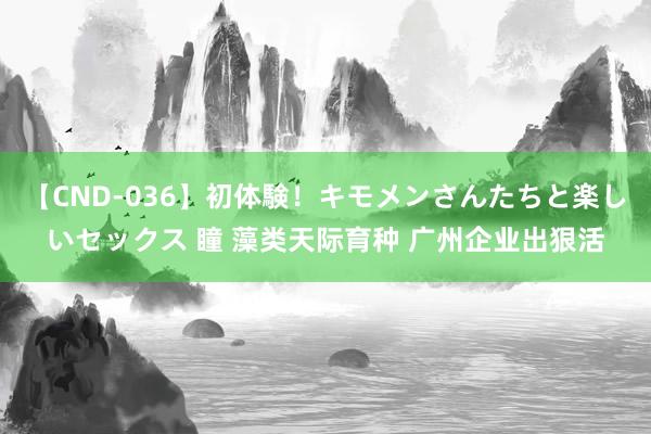 【CND-036】初体験！キモメンさんたちと楽しいセックス 瞳 藻类天际育种 广州企业出狠活