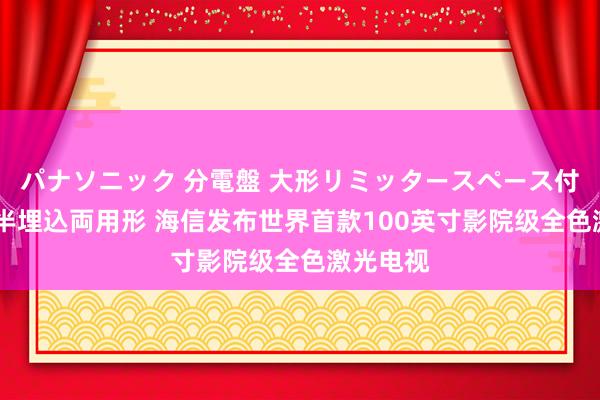 パナソニック 分電盤 大形リミッタースペース付 露出・半埋込両用形 海信发布世界首款100英寸影院级全色激光电视