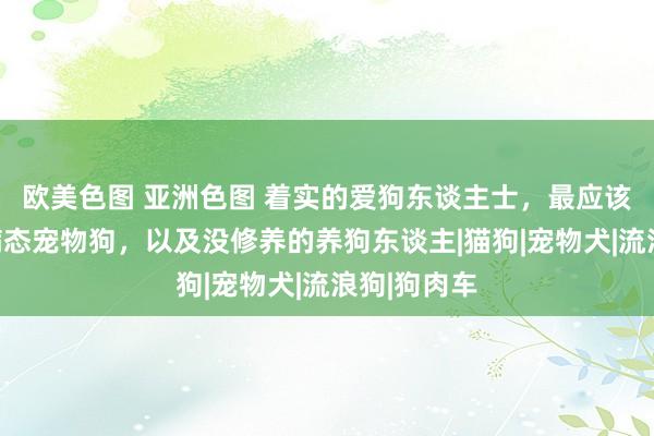 欧美色图 亚洲色图 着实的爱狗东谈主士，最应该反对纯种病态宠物狗，以及没修养的养狗东谈主|猫狗|宠物犬|流浪狗|狗肉车