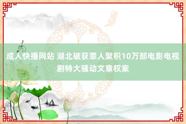 成人快播网站 湖北破获罪人聚积10万部电影电视剧特大骚动文章权案