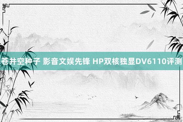 苍井空种子 影音文娱先锋 HP双核独显DV6110评测