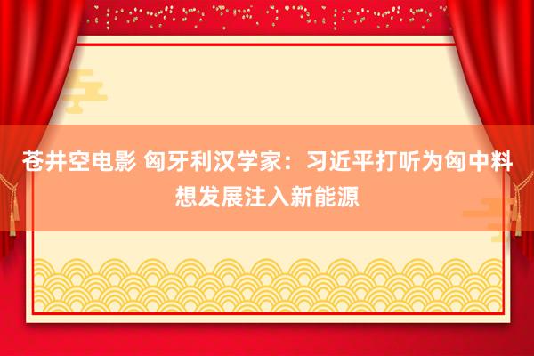 苍井空电影 匈牙利汉学家：习近平打听为匈中料想发展注入新能源