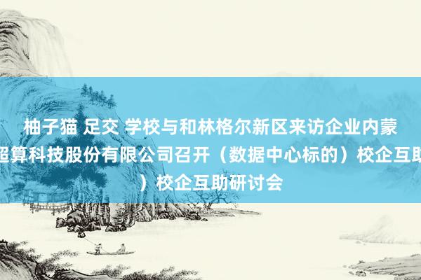 柚子猫 足交 学校与和林格尔新区来访企业内蒙古中科超算科技股份有限公司召开（数据中心标的）校企互助研讨会