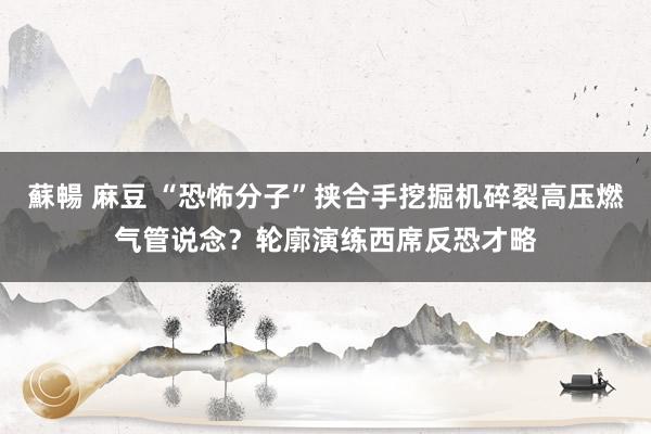 蘇暢 麻豆 “恐怖分子”挟合手挖掘机碎裂高压燃气管说念？轮廓演练西席反恐才略