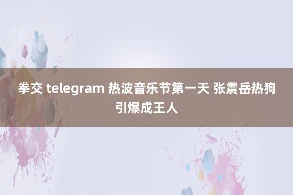 拳交 telegram 热波音乐节第一天 张震岳热狗引爆成王人